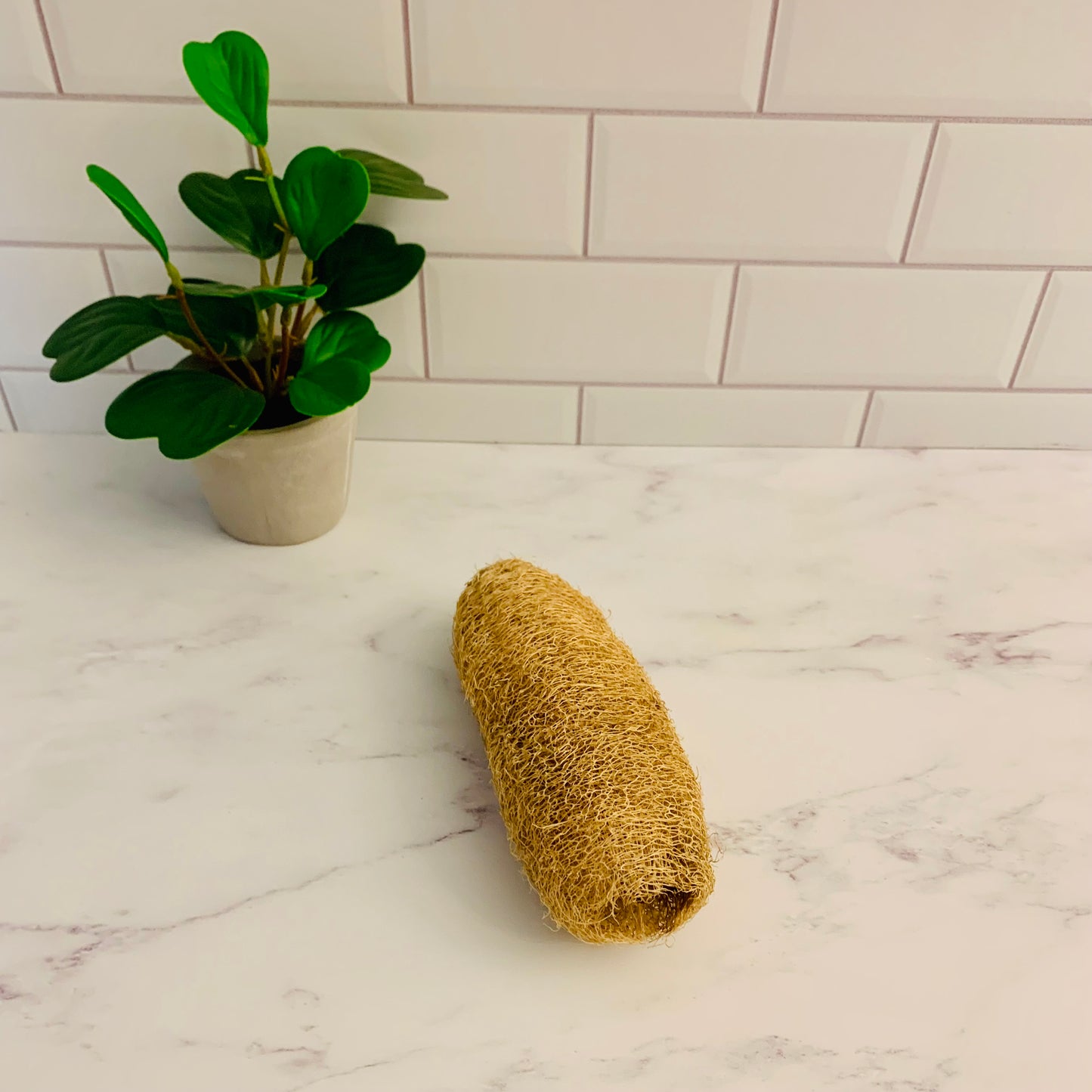 Natural Luffa Sponge