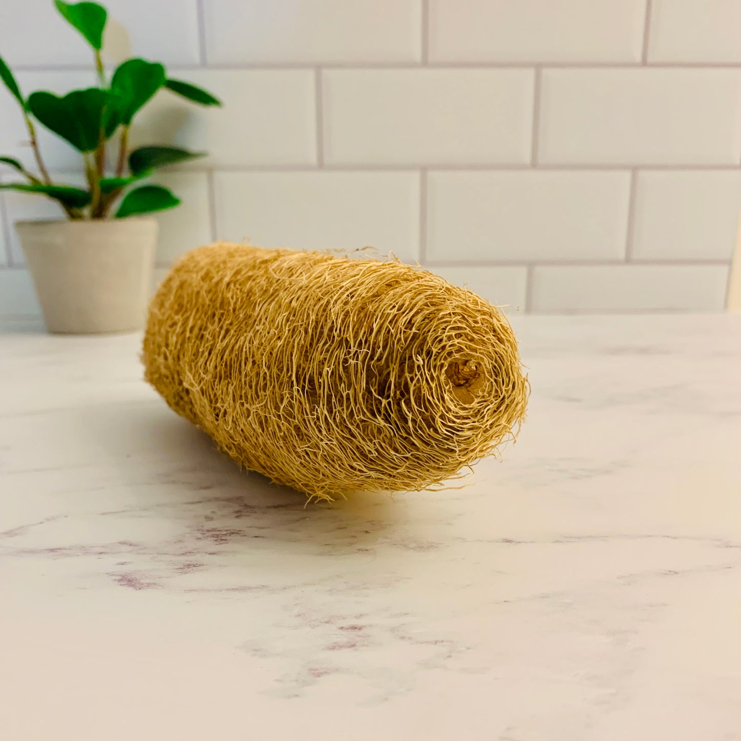Natural Luffa Sponge