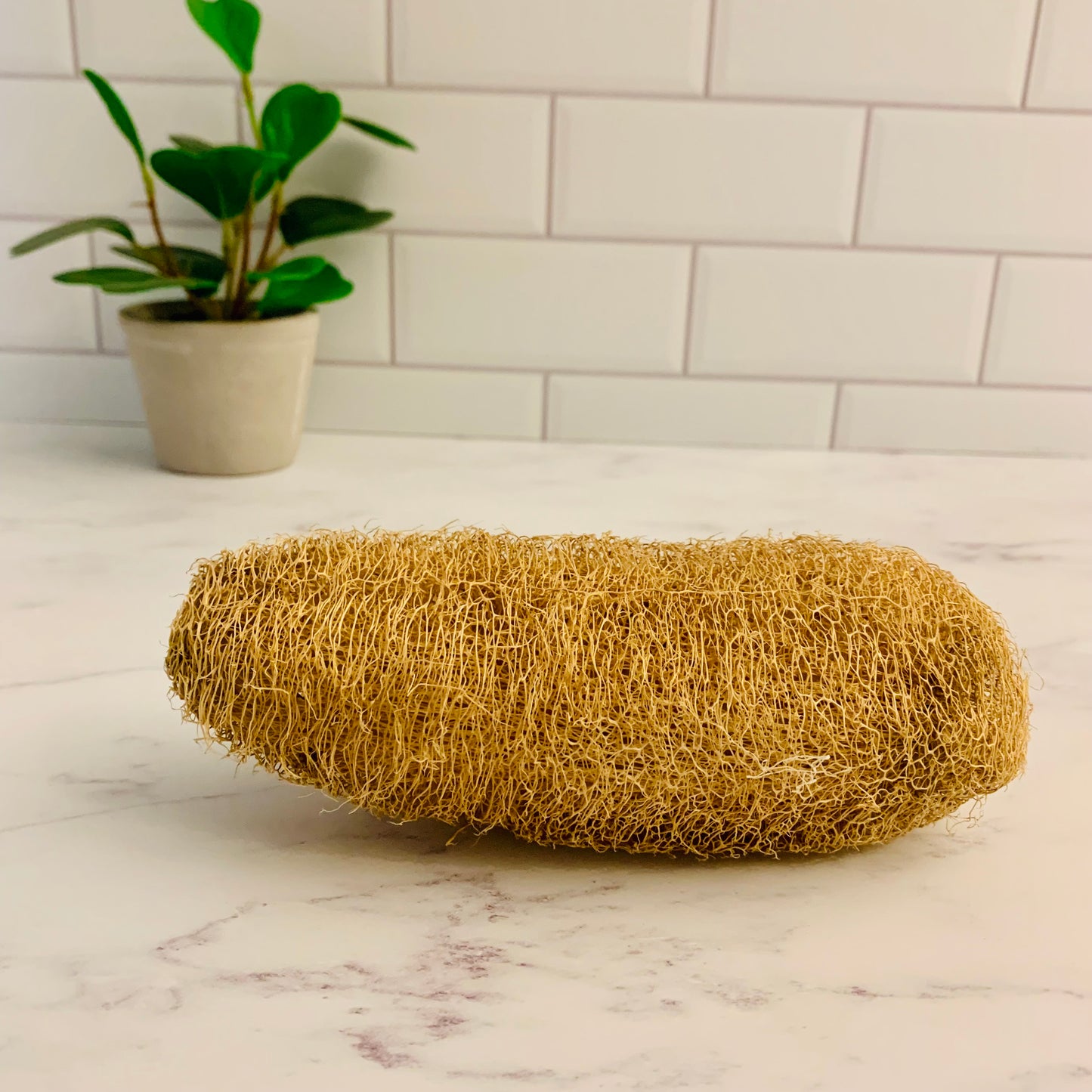 Natural Luffa Sponge