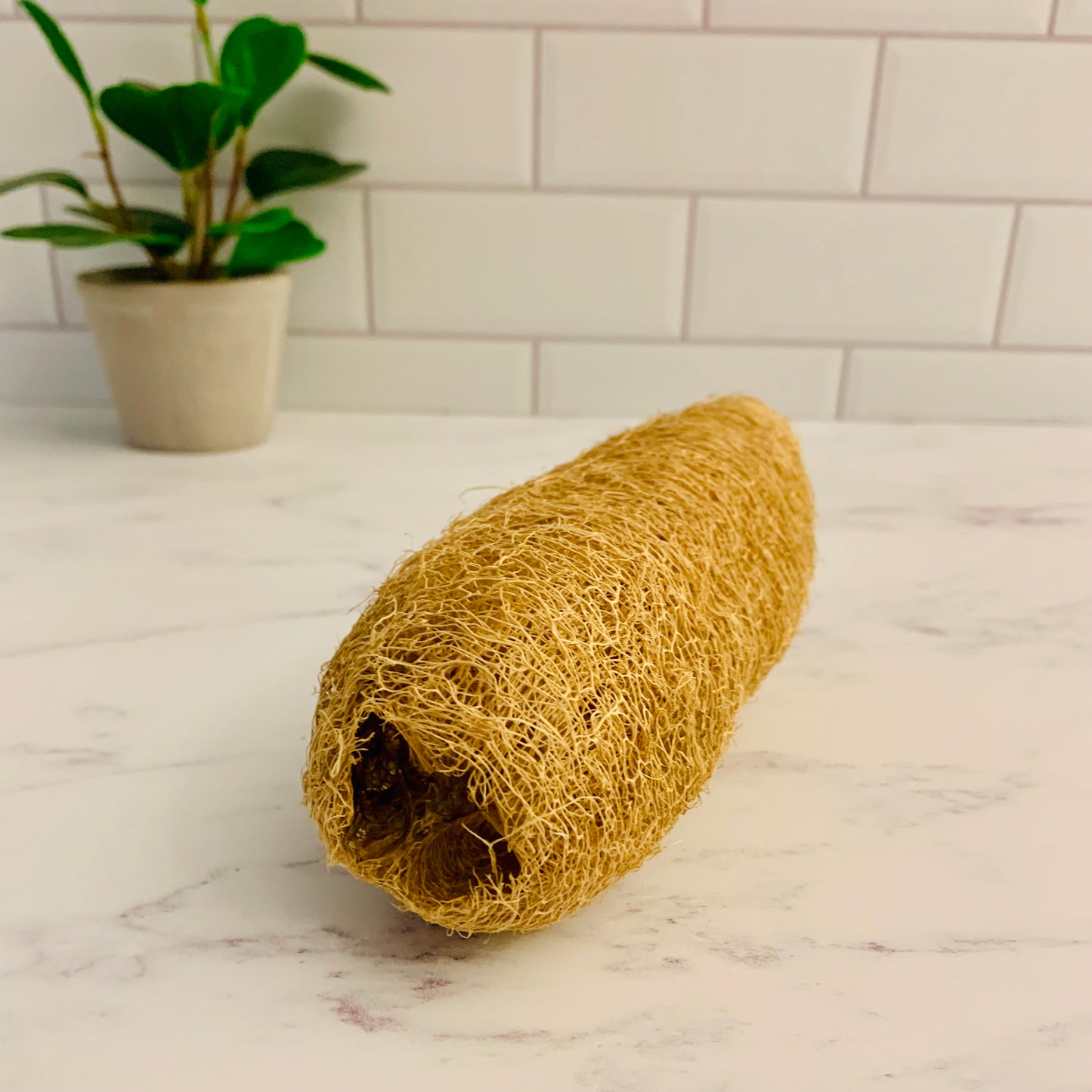 Natural Luffa Sponge