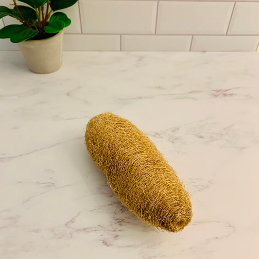 Natural Luffa Sponge